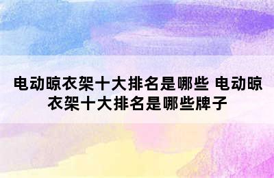 电动晾衣架十大排名是哪些 电动晾衣架十大排名是哪些牌子